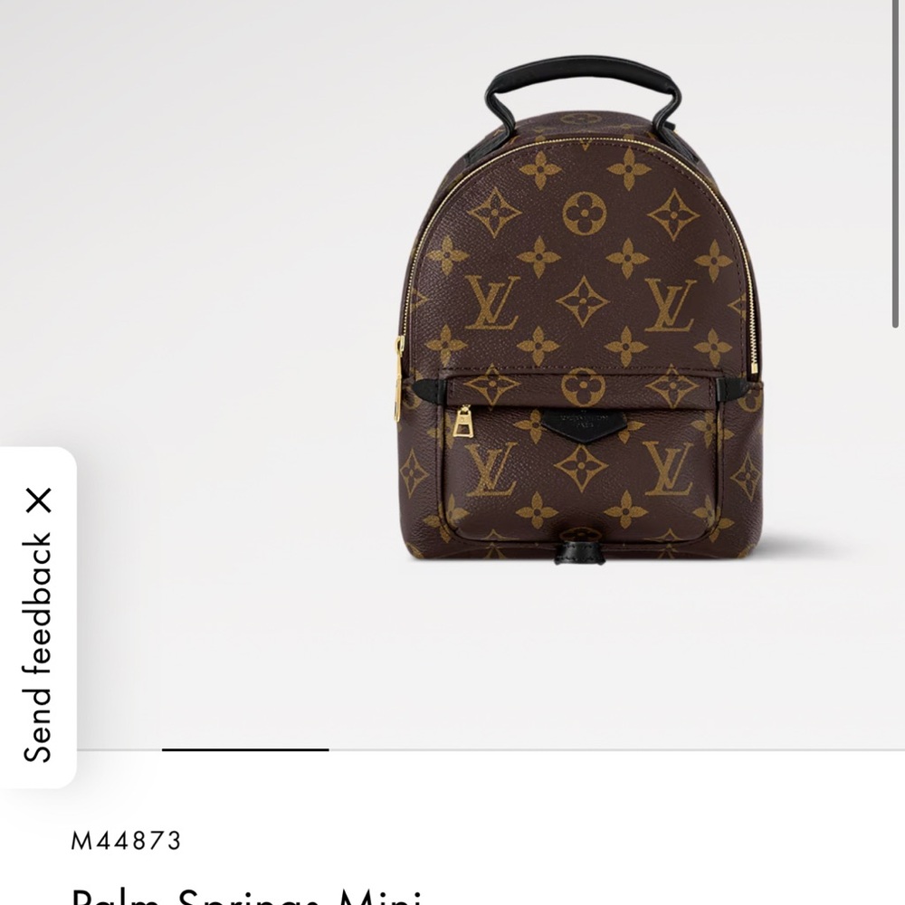 Louis Vuitton Palm Springs Mini Backpack